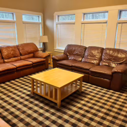 cabin rental upstate new york pet friendly