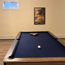 cabin rental upstate new york pet friendly