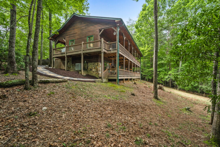 cabin in blue ridge georgia