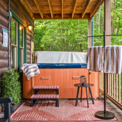 cabin in blue ridge georgia
