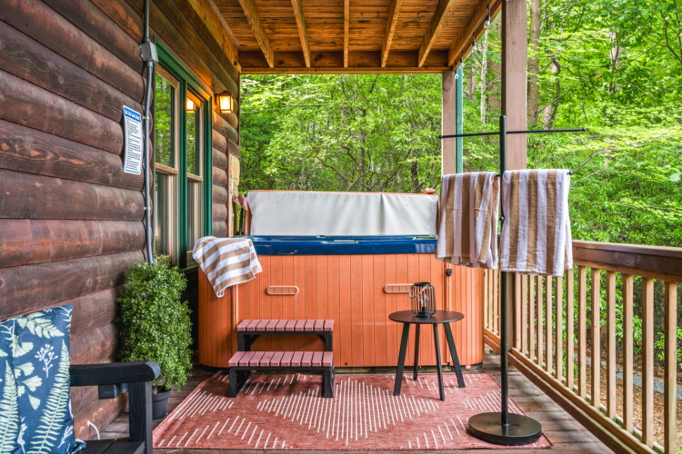 cabin in blue ridge georgia