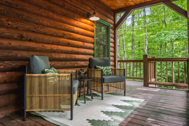cabin in blue ridge georgia