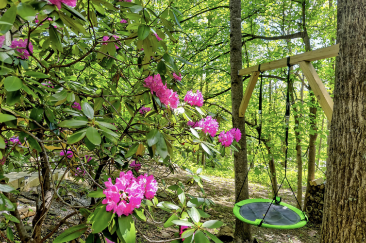 cabin rentals near asheville