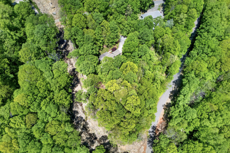 cabin rentals near asheville