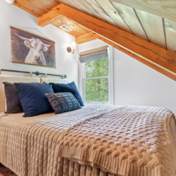 cabin rentals near asheville