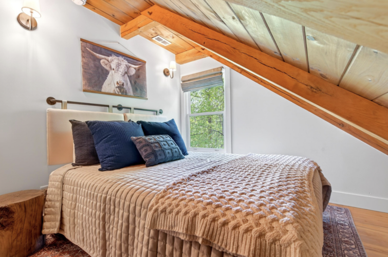 cabin rentals near asheville