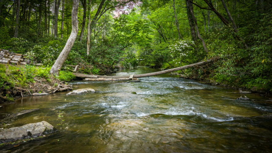 cabin rentals on fightingtown creek