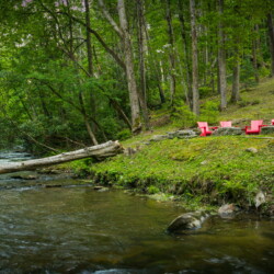 cabin rentals on fightingtown creek