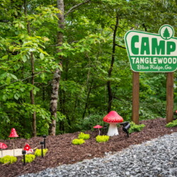 blue ridge cabins georgia
