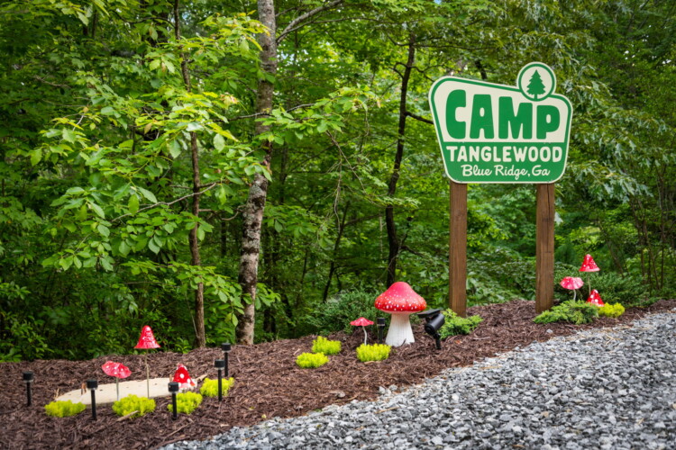 blue ridge cabins georgia