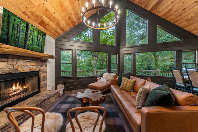 blue ridge cabins georgia