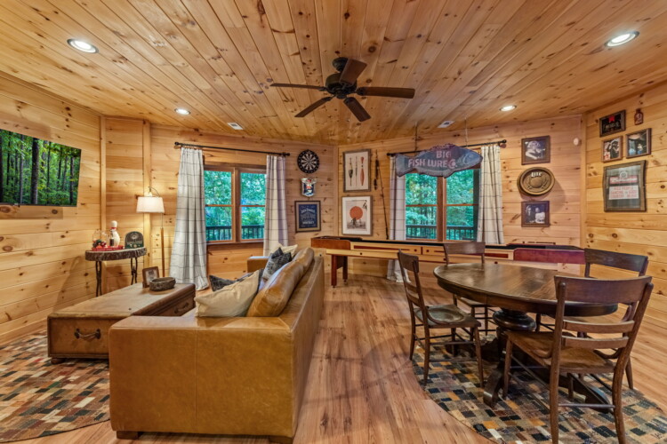 blue ridge cabins georgia
