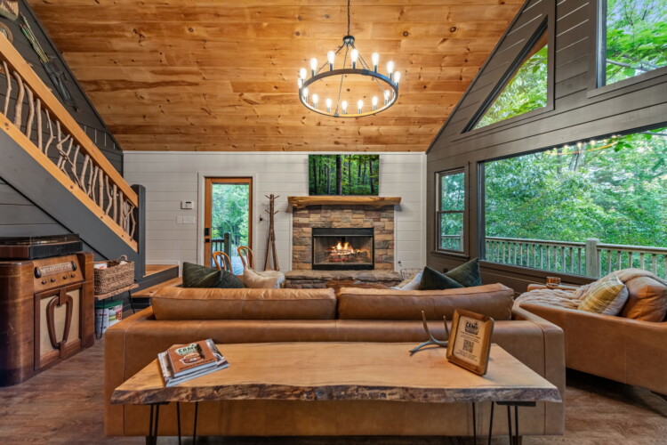 blue ridge cabins georgia