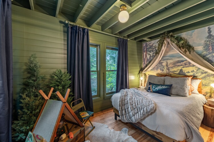 blue ridge cabins georgia