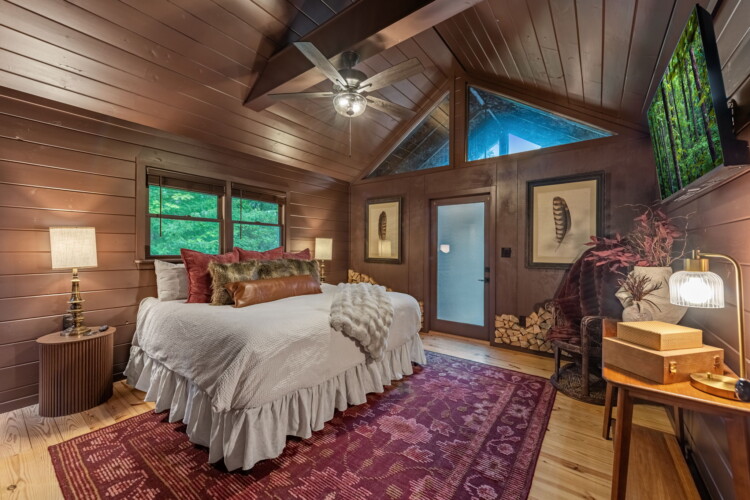 blue ridge cabins georgia