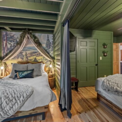 blue ridge cabins georgia
