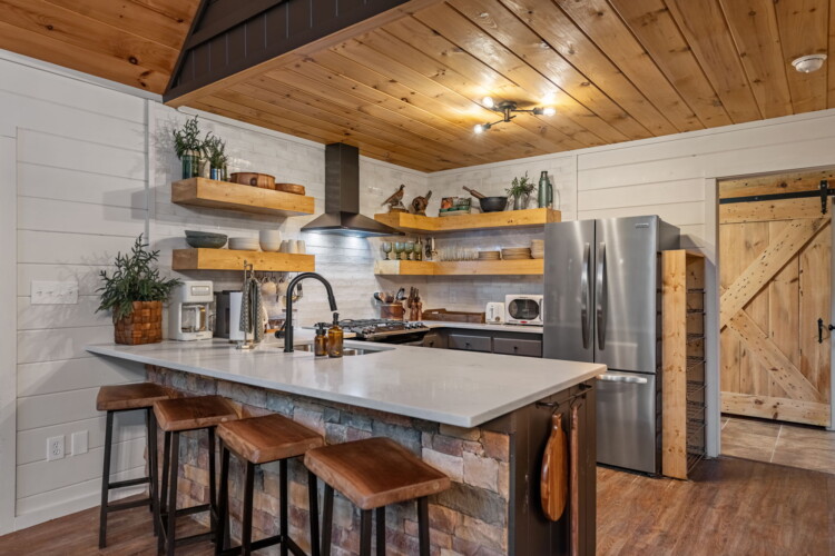 blue ridge cabins georgia
