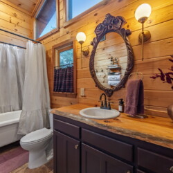 blue ridge cabins georgia