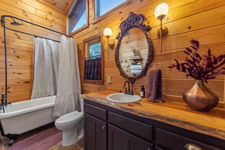 blue ridge cabins georgia