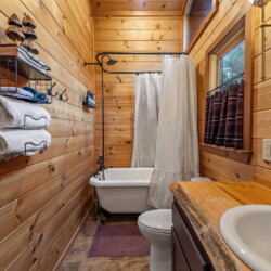 blue ridge cabins georgia