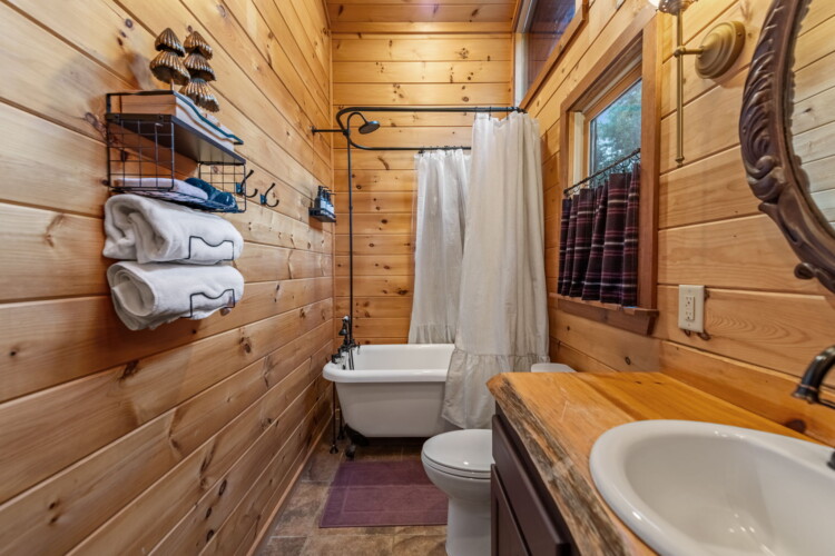 blue ridge cabins georgia