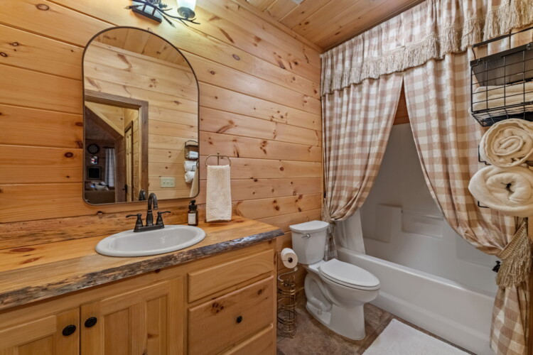 blue ridge cabins georgia