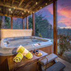 cabins in north georgia
