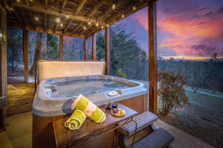 cabins in north georgia