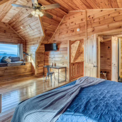 cabins in north georgia