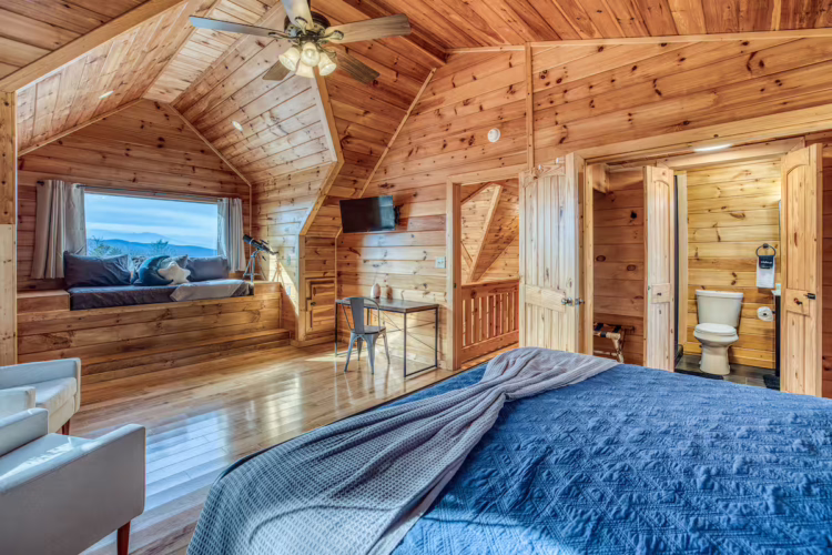 cabins in north georgia