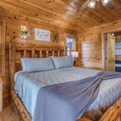 cabins in north georgia