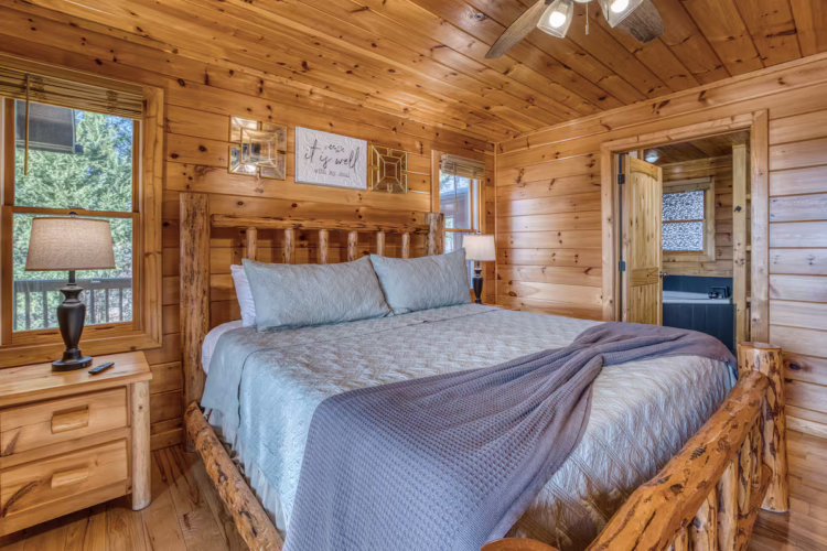 cabins in north georgia
