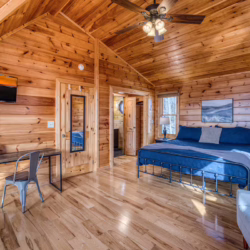 cabins in north georgia
