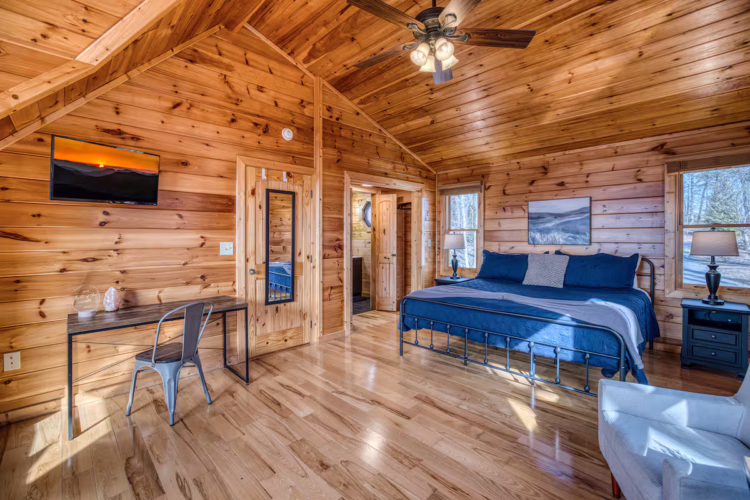 cabins in north georgia
