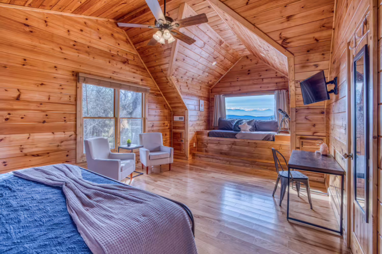 cabins in north georgia