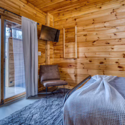 cabins in north georgia