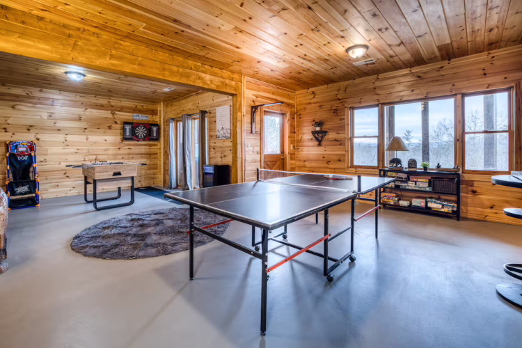 cabins in north georgia