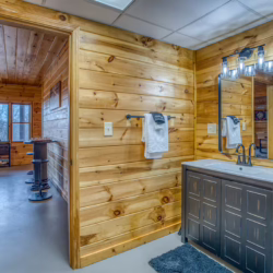 cabins in north georgia