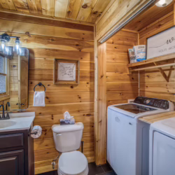 cabins in north georgia