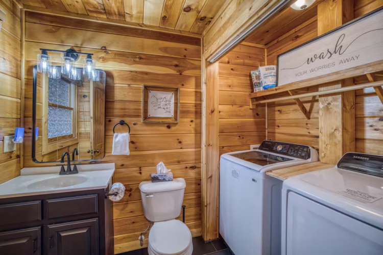 cabins in north georgia