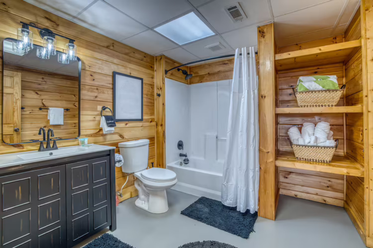cabins in north georgia