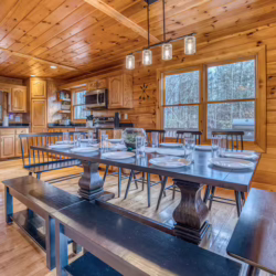 cabins in north georgia