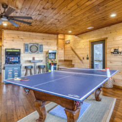 pet friendly cabins in georgia
