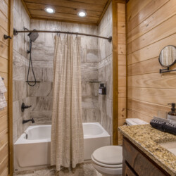 pet friendly cabins in georgia