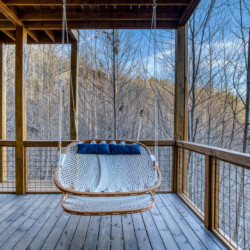 pet friendly cabins in georgia