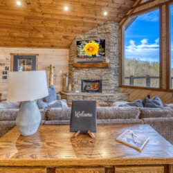pet friendly cabins in georgia