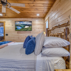 pet friendly cabins in georgia