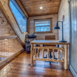 pet friendly cabins in georgia