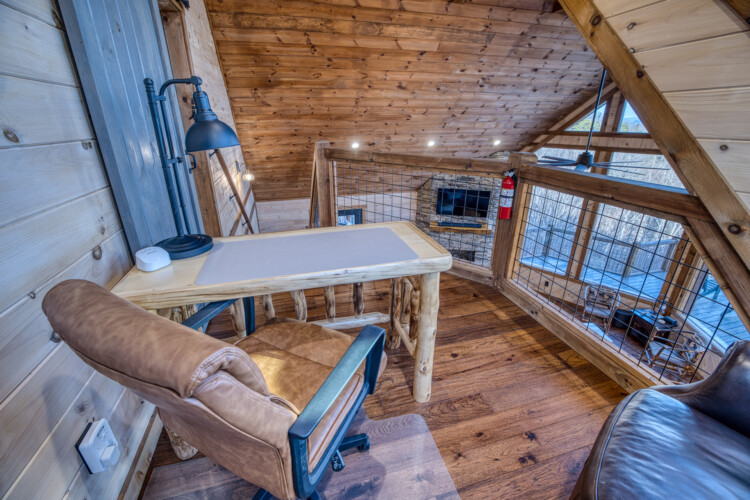 pet friendly cabins in georgia