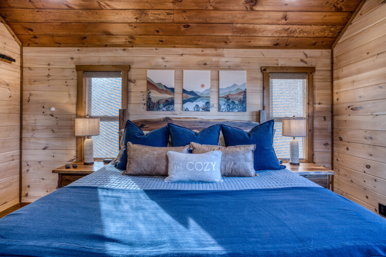 pet friendly cabins in georgia